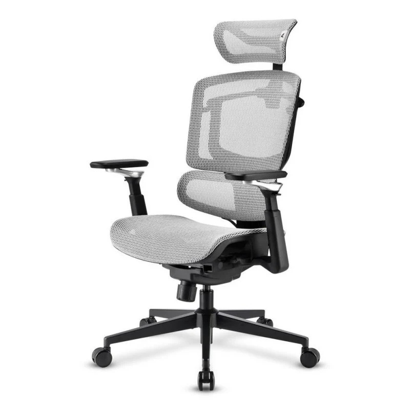 Sharkoon sedia office fabric seat mesh 4d armrest 5 heights adjustable max weight capacity 150kg