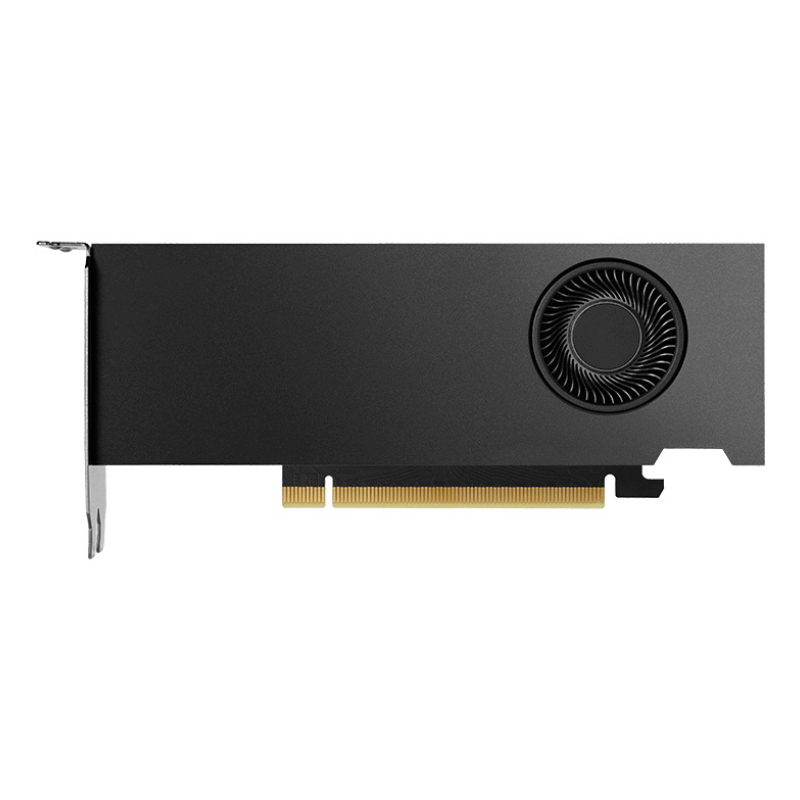 Nvidia quadro rtx 2000 ada 16gb gddr6 ecc 4*mini-dp pci ex 4.0 16x - versione bulk
